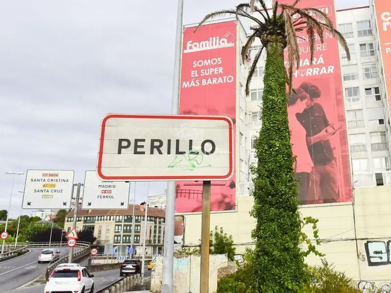 Oleiros intenta salvar la palmera de la Casa Carnicero tras su derribo