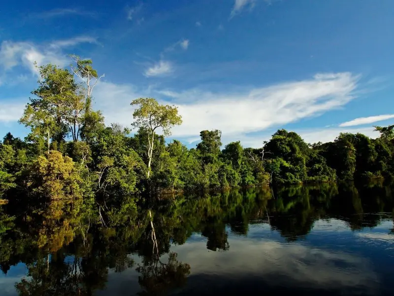 Brasil implementa un paquete de leyes para proteger la Amazonía y fomentar la sostenibilidad