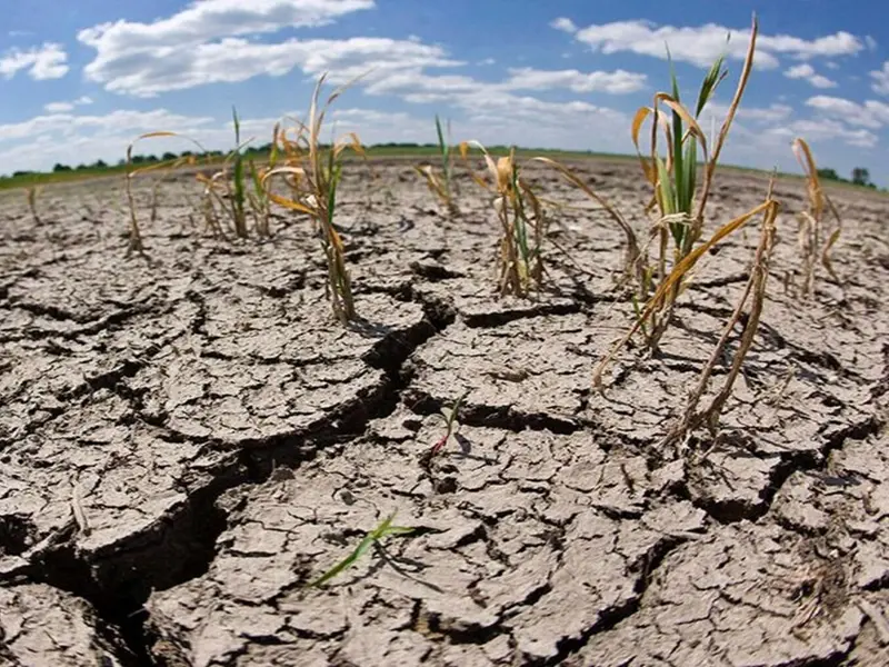 Se crea un nuevo panel asesor sobre cambio climático en España