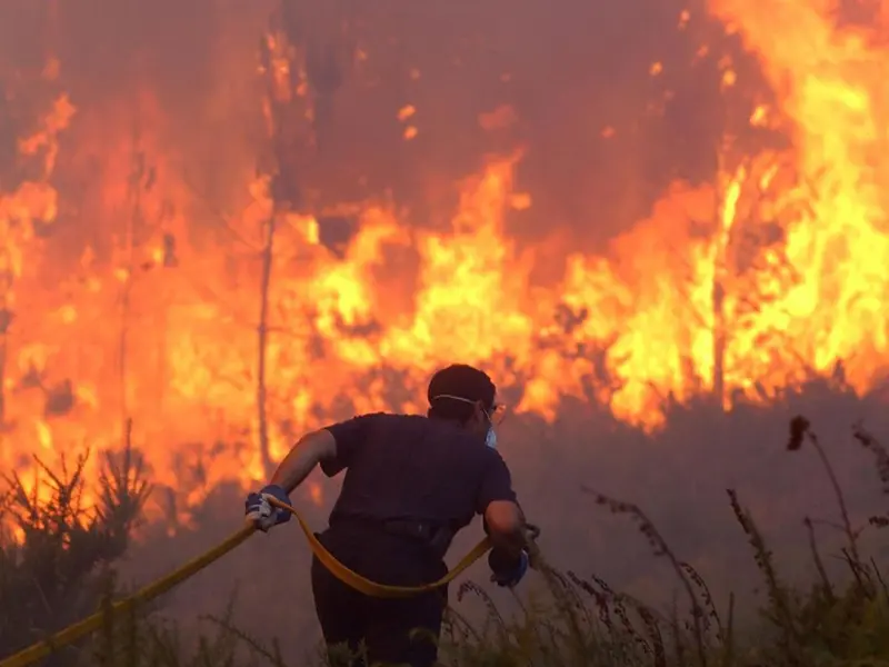 Incendios en España arrasan más de 16.000 hectáreas en 2026