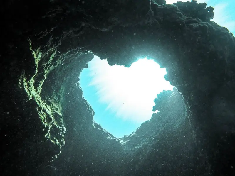 Hallan ecosistema sin metano en la fosa Perú-Chile que redefine límites de la vida