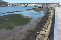 Retraso en el dragado del río Lérez por nuevos estudios ambientales exigidos por el Gobierno