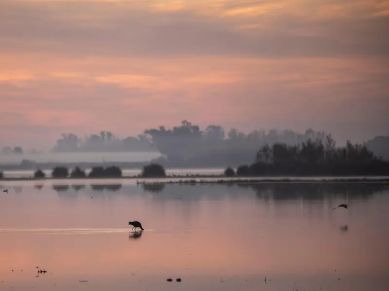Audiencia Nacional suspende el deslinde de Doñana y provoca incertidumbre en su gestión