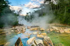 El río hirviente del Amazonas expone los efectos del calentamiento global en los bosques