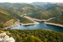 Aprobada la memoria anual de conservación del Parque Nacional de Monfragüe para 2025