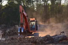 La deforestación global vinculada al consumo europeo de productos como soja y cacao