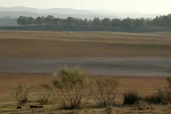 Desclasificación de 7.500 hectáreas en la Red Natura 2000 de Extremadura genera controversia