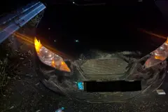 Nuevo choque contra jabalí en la vía Ártabra: vehículo declarado siniestro total