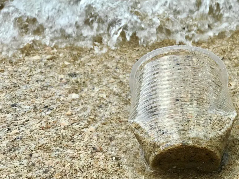 Estudio revela que residuos plásticos son la principal contaminación marina mundial