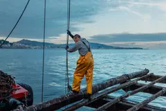 Pesca España organiza una jornada para abordar la pesca ilegal y su impacto global