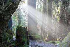 A Lama investiga la conexión entre naturaleza y bienestar humano