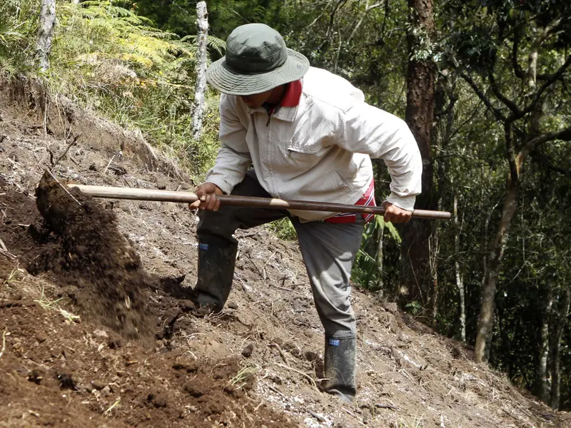La biodiversidad del suelo, clave para la vida y el cambio climático