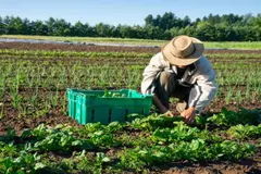 Conflicto por la Ley de Producción Agraria Sostenible en Cataluña: el campo ecológico reacciona