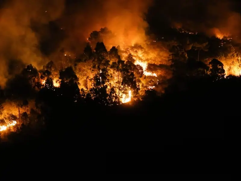 Recomendaciones para actuar en caso de un incendio forestal cercano