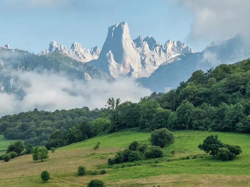 Asturias duplica las ayudas para conservar la biodiversidad en espacios protegidos
