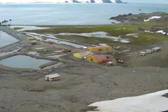 Descubren un oasis con lagos y fauna en la Antártida, un hallazgo sorprendente