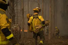Más de 113 incendios forestales azotan el norte de España en primavera