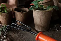Las cerillas no son un fertilizante efectivo para plantas