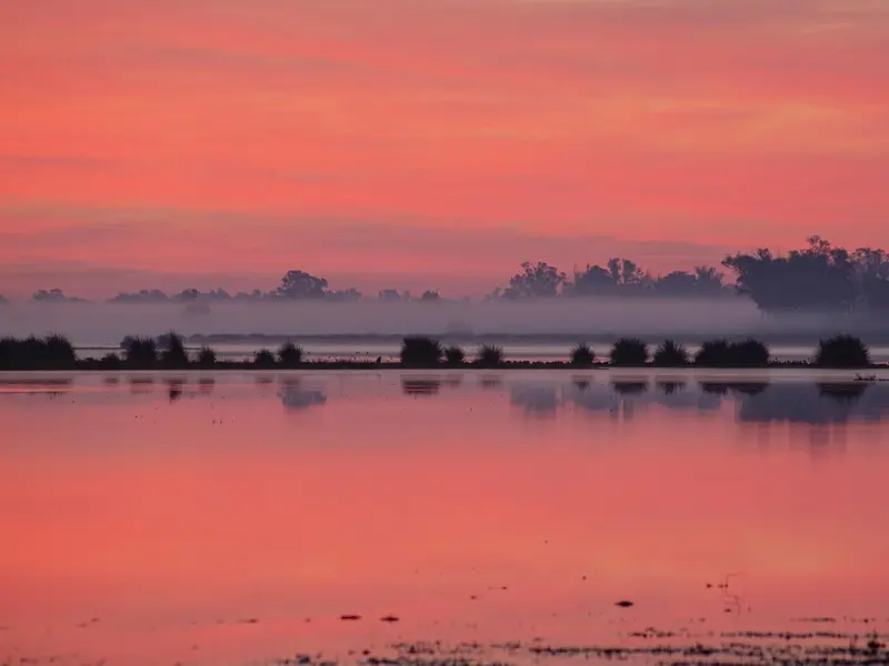 Descubren el agua invisible que sustenta la vida en Doñana sin lluvia