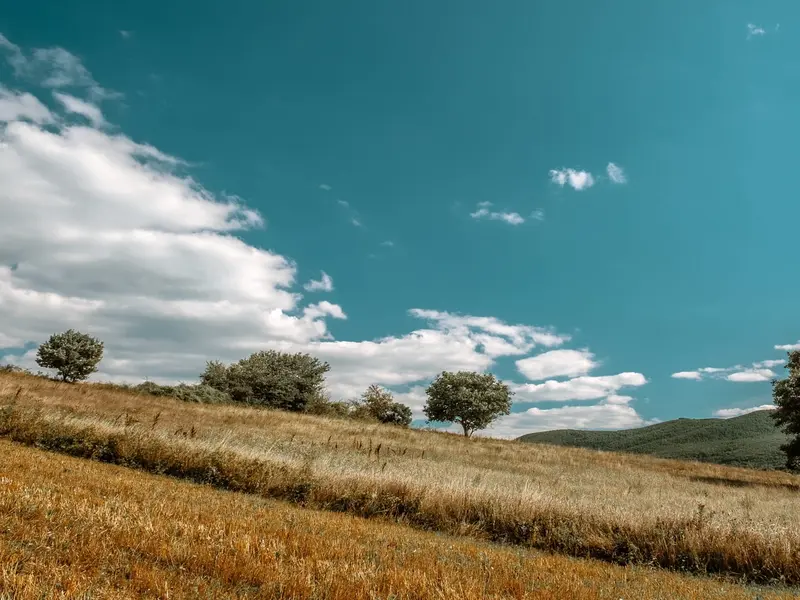 El Tribunal Supremo anula el plan de calidad del aire por ozono en Castilla y León