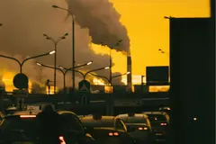 La nueva directiva europea de delitos ambientales refuerza la lucha contra el ecocidio