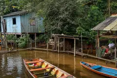 Arquitectura sostenible del Amazonas: el futuro de las ciudades ecológicas