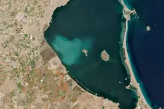 La ‘mancha blanca’ del Mar Menor impacta negativamente en su flora y fauna