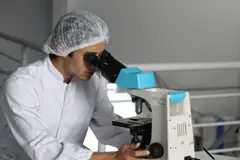 Investigación sobre biotecnología y adaptaciones en plantas ante el cambio climático