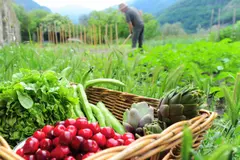 España y China firman acuerdo para impulsar la producción ecológica y comercio sostenible