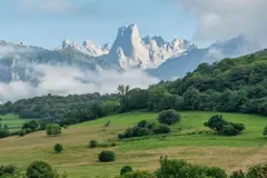 Aragón se propone plantar 2 millones de árboles en su Plan de Reforestación 2024-2027