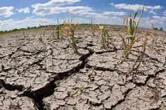 Se crea un nuevo panel asesor sobre cambio climático en España