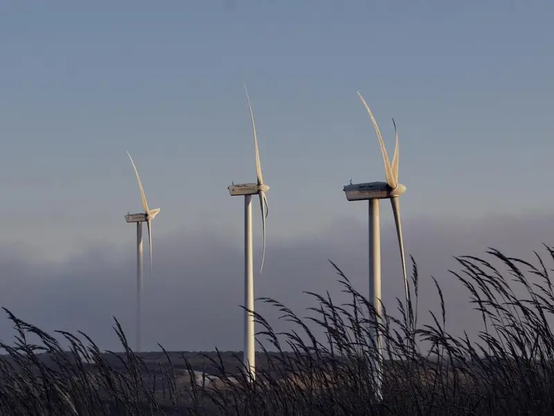 Cierre de grandes parques eólicos en Galicia por su impacto ambiental