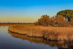 Creación de la Cátedra Doñana para impulsar la sostenibilidad en el Parque
