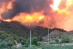 Monografía destaca la gestión forestal como clave para prevenir incendios en España