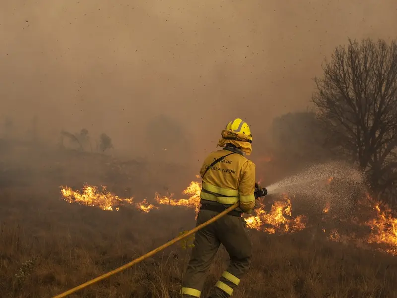Incendios en Galicia: más de 280 hectáreas afectadas y un despliegue de medios de extinción