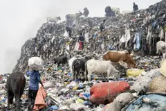 La UE impulsará el reciclaje de ropa en España con contenedores inteligentes que pagarán a los usuarios