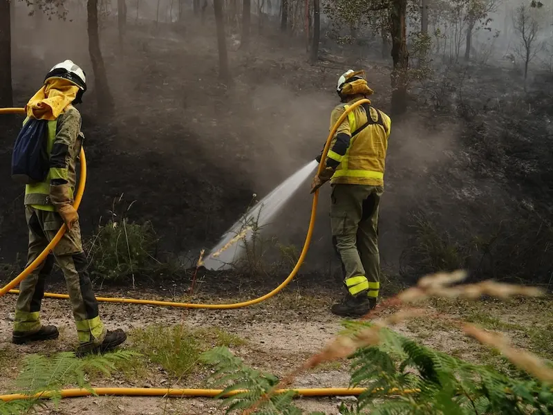 Incendios en Galicia arrasan más de 40 hectáreas en A Coruña y Ourense
