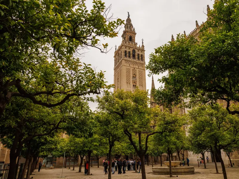 Los naranjos en Sevilla pueden bajar hasta 12 grados la temperatura del pavimento