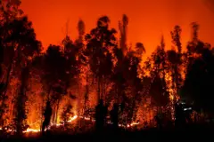 Megaincendios en Extremadura: un creciente riesgo por cambio climático y abandono rural