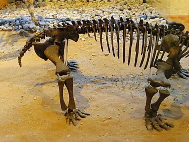 Descubrimiento de un huevo fósil de Lystrosaurus transforma comprensión de la evolución mamífera
