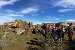 Aprobaron 12,6 millones para 42 proyectos de empleo verde en España