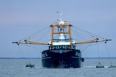 Oceana insta a cumplir las normas pesqueras de la UE para una pesca sostenible