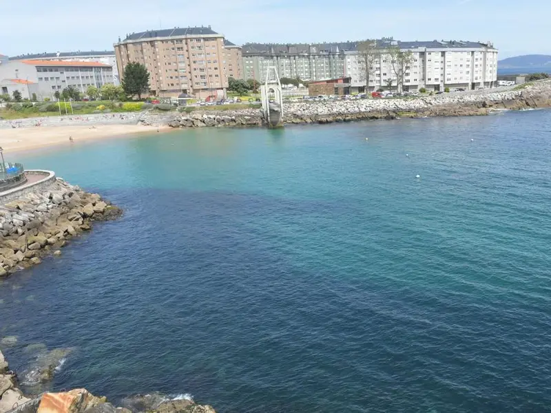 El alga invasora Rugulopteryx okamurae se extiende en la costa de A Coruña y Oleiros