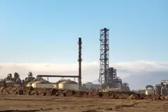 Querella de Greenpeace reaviva la controversia del proyecto Dominga en Chile
