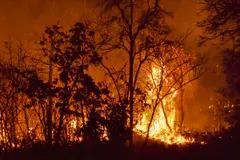Aemet lanza un nuevo índice para prevenir incendios forestales en España