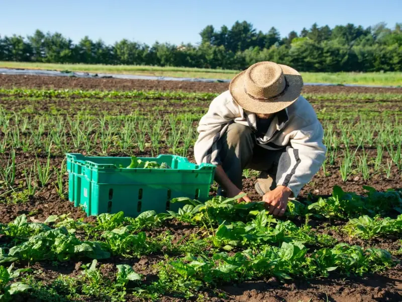 Conflicto por la Ley de Producción Agraria Sostenible en Cataluña: el campo ecológico reacciona