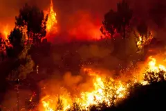 Informe de la OMM revela el impacto del calor extremo y los incendios en España
