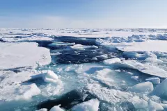 Océanos protegidos, pero amenazados por minería y cambio climático