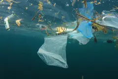 Congreso internacional sobre delitos ambientales en océanos se celebra en Baleares