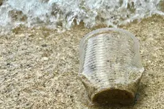 Estudio revela que residuos plásticos son la principal contaminación marina mundial
